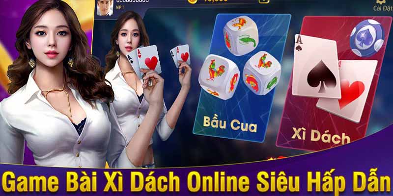 xi-dach-online-2